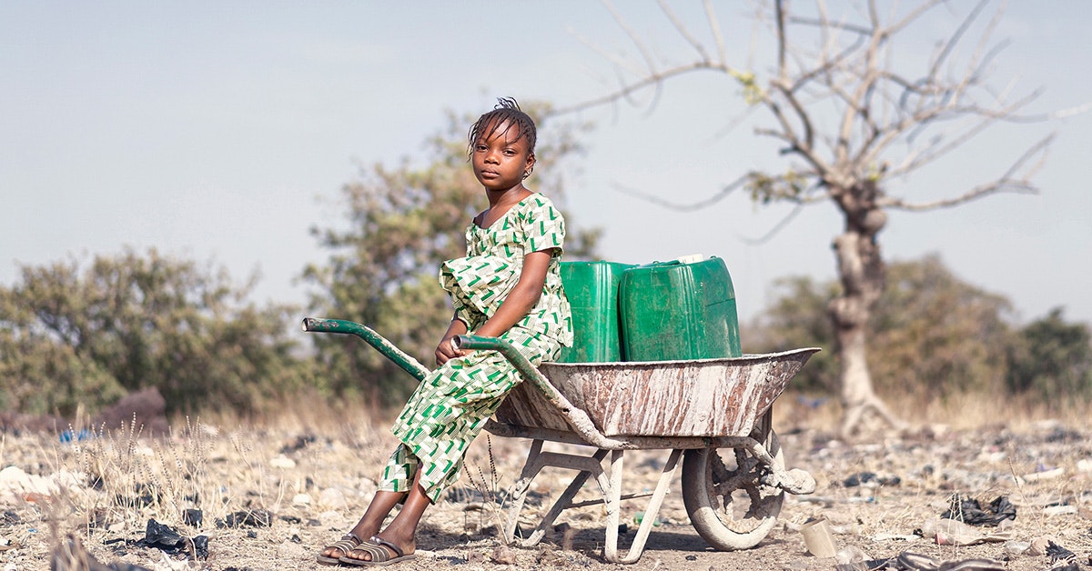 Il clima è catastrofico per la catena alimentare Il clima è catastrofico per la catena alimentare