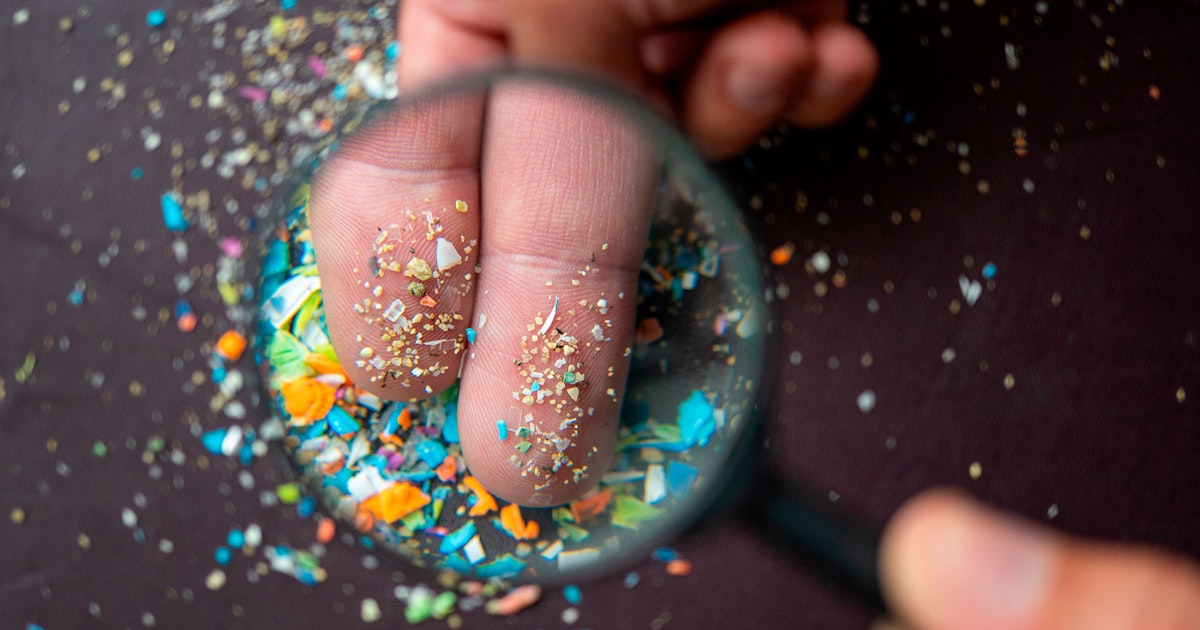 Piccoli pezzi di plastica compaiono nel cervello dopo due ore Piccoli pezzi di plastica compaiono nel cervello dopo due ore