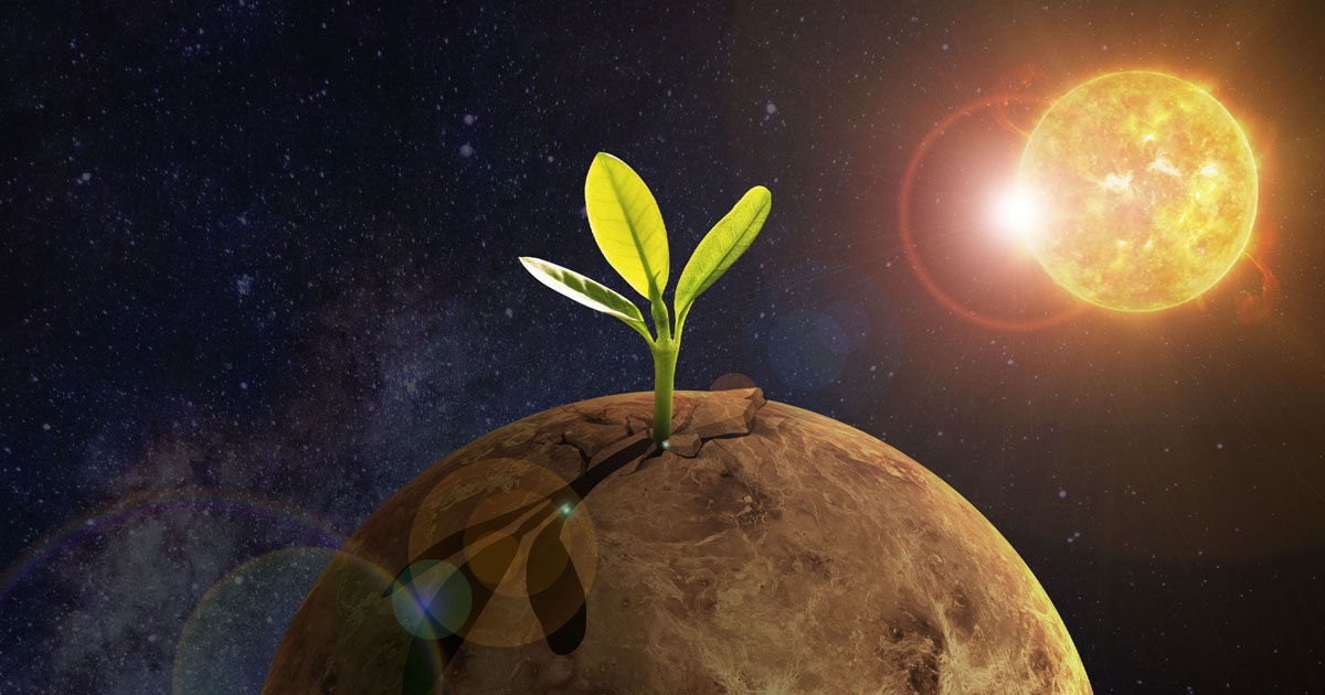 Sonda la ricerca della vita su Venere Sonda la ricerca della vita su Venere