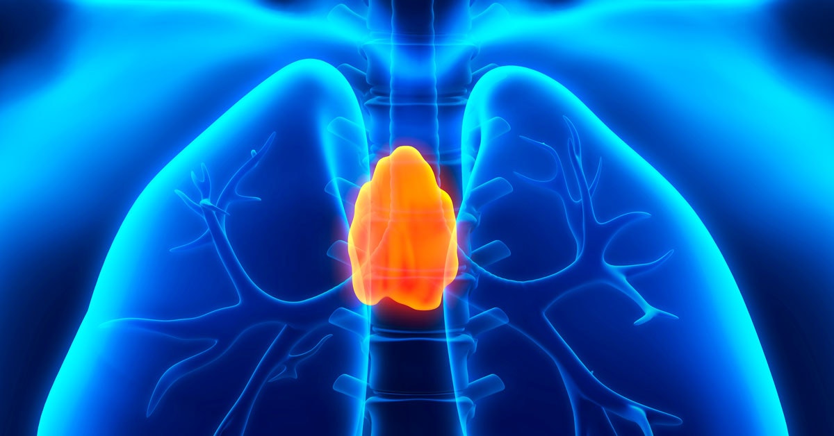 L’organo ‘inutile’ può essere un’arma importante contro il cancro L’organo ‘inutile’ può essere un’arma importante contro il cancro