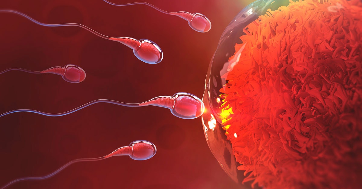 Bir kishi hammomda qoshnisini sikdi.