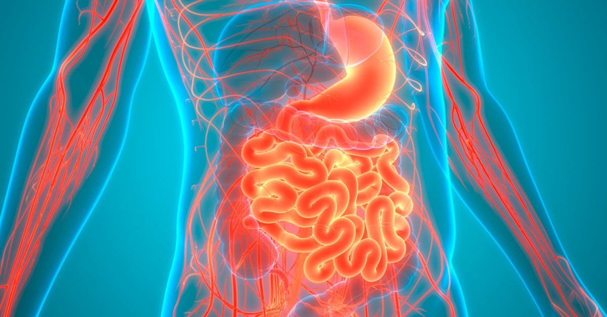 The Microbiome: Unlocking the Key to Good Health and Disease Prevention