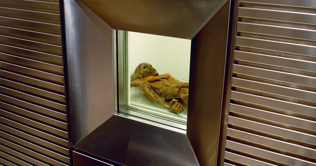 Yalangoch xotinning paypoqdagi mushuki fotosurati Viktoriya Tokmanenko yalangoch