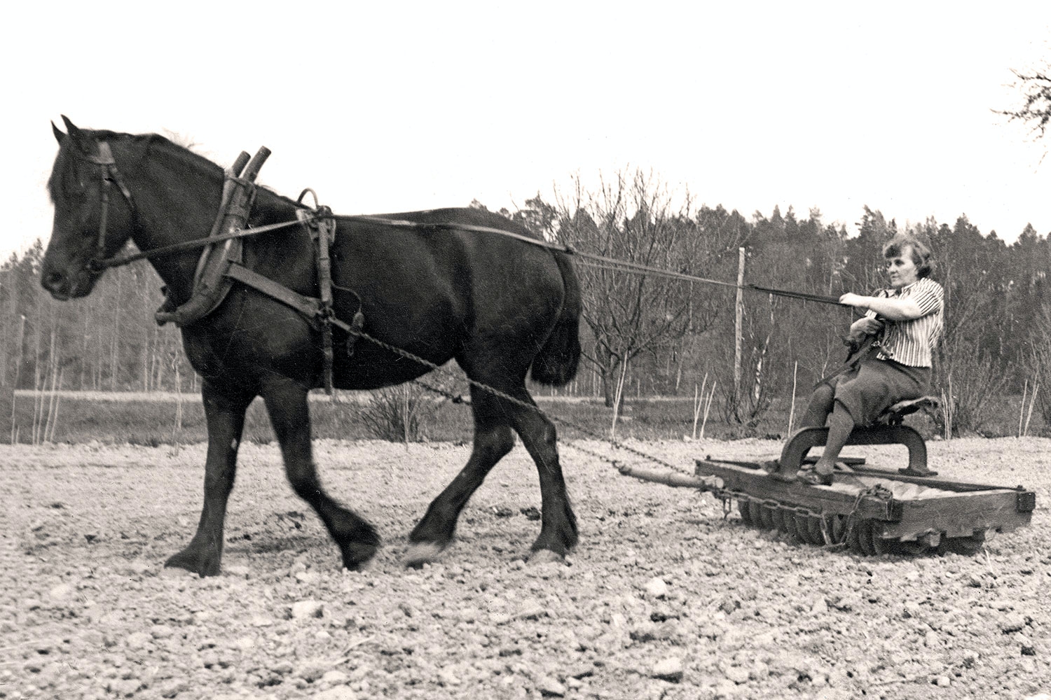 Moa Martinsons far hittades efter 120 år Slakthistoria.se