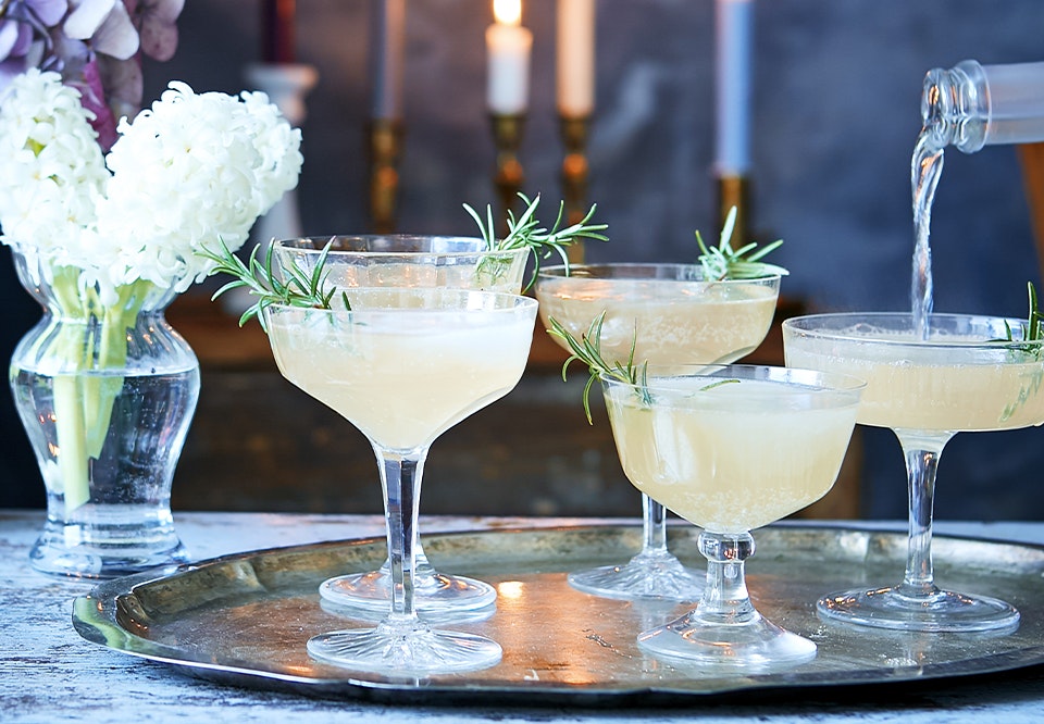 Grapefruit French 75 woman.dk